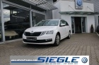 Škoda Octavia Combi 1.5 TSI Ambition DSG Standheizung PDC  Sitzh