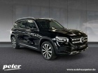 Mercedes-Benz GL 4M Off-Road/Progressive/LED/Kamera/DAB/