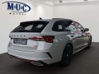 Škoda Octavia 2.0 TDI RS 4x4~Stahlgrau~Matrix~Canton