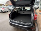 Ford Focus Ford Focus Turnier Titanium 1.0| Winter-Paket, SYN