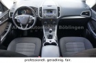 Ford Galaxy 2.0 TDCI SITZHZG PDC AHK 7-SITZER