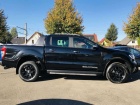 Ford Ranger 2,0TDCi''Wildtrak''ACC,AHK,Standh.,Bi-Xenon