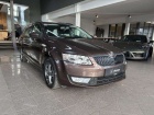 Škoda Octavia Combi 2.0 TDI DPF Ambition SHZ PDC Temp AHK