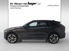 Jaguar F-Pace D300 AWD R-Dynamic HSE AHK Pano Head-Up