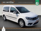 Volkswagen Caddy 1.0 TSI /1.Hd/Navi/Xenon/Sitzheiz./Klima