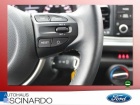 Kia Rio 1.2 Edition 7  DAB PDC Tempomat Sitzheizung