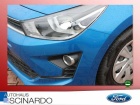 Kia Rio 1.2 Edition 7  DAB PDC Tempomat Sitzheizung