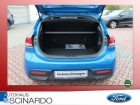 Kia Rio 1.2 Edition 7  DAB PDC Tempomat Sitzheizung