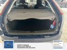 Ford Focus Viva Klima, Service neu.