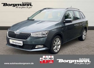 Škoda Fabia Combi Clever 1.0 TSI Sperrdiff. ACC Apple CarPlay