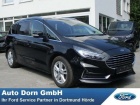 Ford S-MAX 2.0 EcoBlue Aut. Titanium AHK ACC BLIS 2xKamera