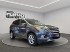 Ford Kuga TITANIUM 2.0 TDCi BI-XENON NAVI TOTWINKEL