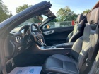 Mercedes-Benz SLK SLK 200 BlueEfficiency (172.448)