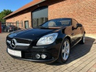 Mercedes-Benz SLK SLK 200 BlueEfficiency (172.448)