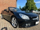 Mercedes-Benz SLK SLK 200 BlueEfficiency (172.448)