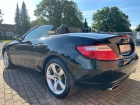 Mercedes-Benz SLK SLK 200 BlueEfficiency (172.448)