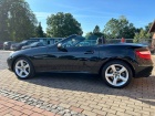 Mercedes-Benz SLK SLK 200 BlueEfficiency (172.448)