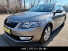 Skoda Octavia Lim. Elegance 1VB AHZV T-LEDER SHZ PDC