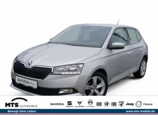 Škoda Fabia Cool Plus 1.0 MPI Klima Sitzheizung PDC hi. LM16''