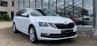 Škoda Octavia Combi Style DSG Navi Dynamic Paket 17