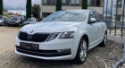 Škoda Octavia Combi Style DSG Navi Dynamic Paket 17