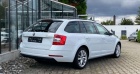 Škoda Octavia Combi Style DSG Navi Dynamic Paket 17