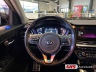 Kia Niro Spirit Plug-in Hybrid 1.6 EU6d-T Navi Soundsystem